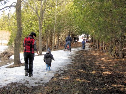 click for larger view